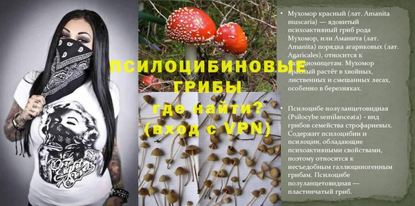 меф Балахна