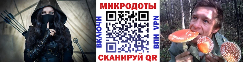 закладки  Городовиковск  Псилоцибиновые грибы Psilocybine cubensis 